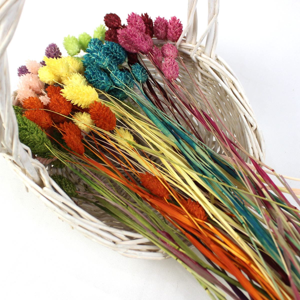 即日 ドライ 大地農園 ポアプランツ 9色 約42g はなどんやオリジナルアソート 通販 はなどんやアソシエ