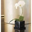特価◎クレイ/simplevase  saucer 7　BLACK/326-565-800