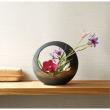 クレイ/AKEBONO BLACK 155-058-891