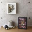 クレイ/BOX frame Single WHITE/680-835-102
