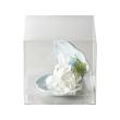 クレイ/clear case CLEAR/860-028-000
