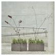 【直送】クレイ/TERRA-MENT_High Rectangle 60 WHITE/910-306-101