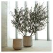 【直送】クレイ/TERRA-MENT_Drop Round 44 LIGHT GRAY/910-246-181※返品・代引不可