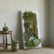 クレイ/Natural wood frame XL 104L28W6H　BROWN/680-039-202