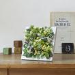 クレイ/Natural wood frame Board 42L17W1H　WHITE/680-045-102