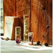 クレイ/Glass Cylinder with Cork CLEAR/777-402-000