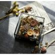 クレイ/Petit Jardin BLACK/780-570-802