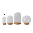 即日★クレイ/Glass Dome with Cork 5φ11H CLEAR/777-430-000
