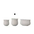 即日★クレイ/colette 8.5φ9H WHITE/366-265-100