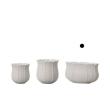 即日★クレイ/colette 13L7W8H WHITE/366-266-100
