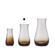 クレイ/mazzo 12φ20H CLEAR AMBER/777-731-020