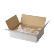クレイ/cardboard box for Aerial 幅48cm/960-703-100