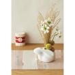 クレイ/SHIRO USAGI_12L7W7.5H WHITE/344-240-100