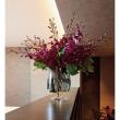 クレイ/Soiree_20φ28H PEARL GRAY/778-361-810