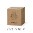 クレイ/aura 9φ10.5H AURORA/777-686-095
