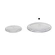 クレイ/Glass saucer13φ1.5H CLEAR/777-154-000
