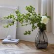 クレイ/Dew_23φ36H GRAY/777-748-810