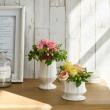 クレイ/Paula_5φ6H WHITE/240-222-100