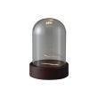 クレイ/Acrylic Stand Lighting Dome_10.5φ15.5H DARK BROWN/670-701-202