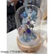 クレイ/Acrylic Stand Lighting Dome_10.5φ15.5H NATURAL/670-701-312