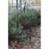 コベントガーデン/ランバス・アイアントレリス S/US-38 - 花材通販は