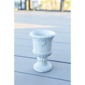 コベントガーデン/アンティ・タッザポットS/QE-19