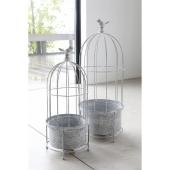 コベントガーデン/アルジャンテ・プランツケージ 2点セット/BL-01 - 花