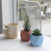 はなちゃん　ナチュラルメディスン　ギンコ　4本セット Amazon.co.jp: モンプチ ナチュラルキッス 猫用おやつ 特大バラエティ