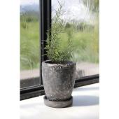 コベントガーデン/ブラッテ・コーンポット L/QE-37 - 花材通販はなどん