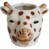 コベントガーデン/neulo アニマルカップ・ギレム/UL-01