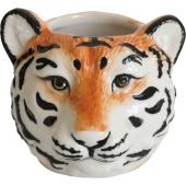 コベントガーデン/neulo アニマルカップ・リオス/UL-04