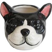 コベントガーデン/neulo アニマルカップ・グリム/UL-06