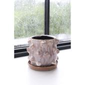 コベントガーデン/テラ・スパイクポット/CH-05