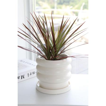 コベントガーデン/ケトールポット ホワイト L/PK-02