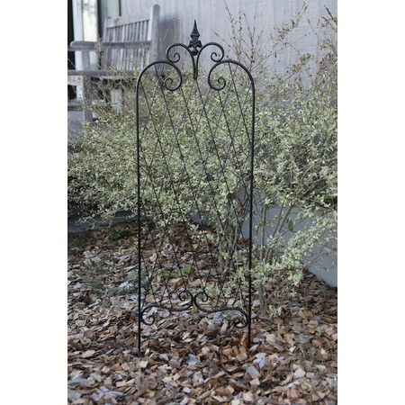 コベントガーデン/ランバス・アイアントレリス L/US-37