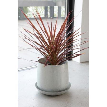 特価◎コベントガーデン/グレイニーメタルポットL/BD-29