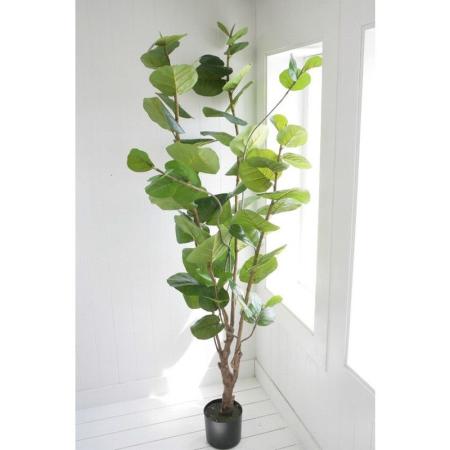 特価◎コベントガーデン/シーグレープ 1.8m/RL-01