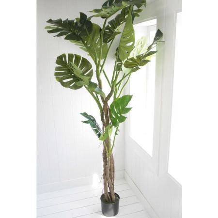 特価◎コベントガーデン/モンステラ/RL-03