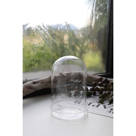 コベントガーデン/クリア・グラスドームS/HY-10