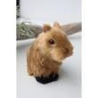 コベントガーデン/フラッフィ・カピバラベビー/RM-12