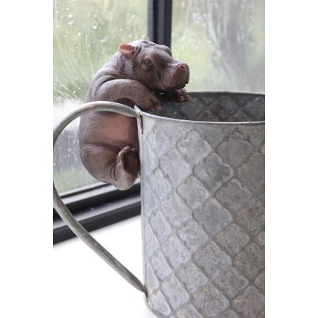 コベントガーデン/ローリン・ヒッポ/QT-04