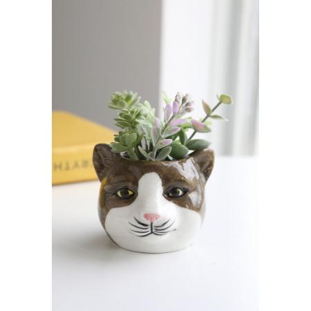 コベントガーデン/neulo フェイクサキュレント・フェル/UL-11