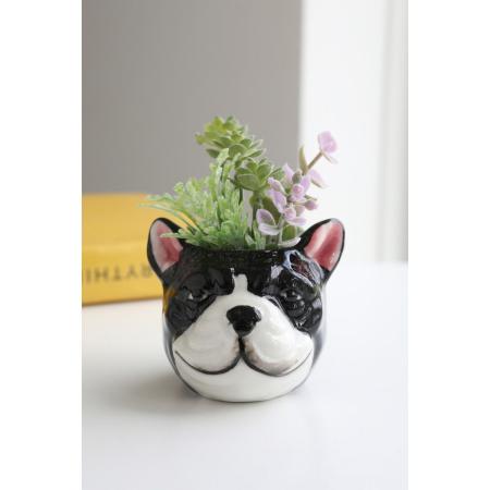 コベントガーデン/neulo フェイクサキュレント・グリム/UL-12