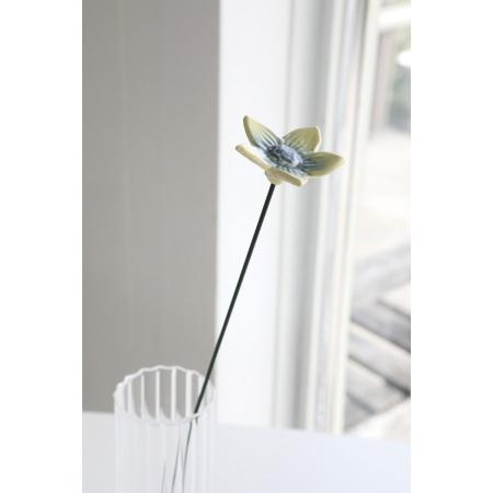 特価◎コベントガーデン/neulo セラミカ・ステラ/CE-19