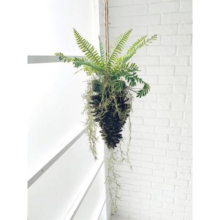 コベントガーデン/ビッグコーン・フェーンハング/WLD36