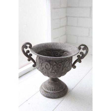 コベントガーデン/トゥインク・ヴァインカップ/WRY10