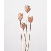 【ドライ】東花/ワイルドリリー ナチュラル 4本/67067