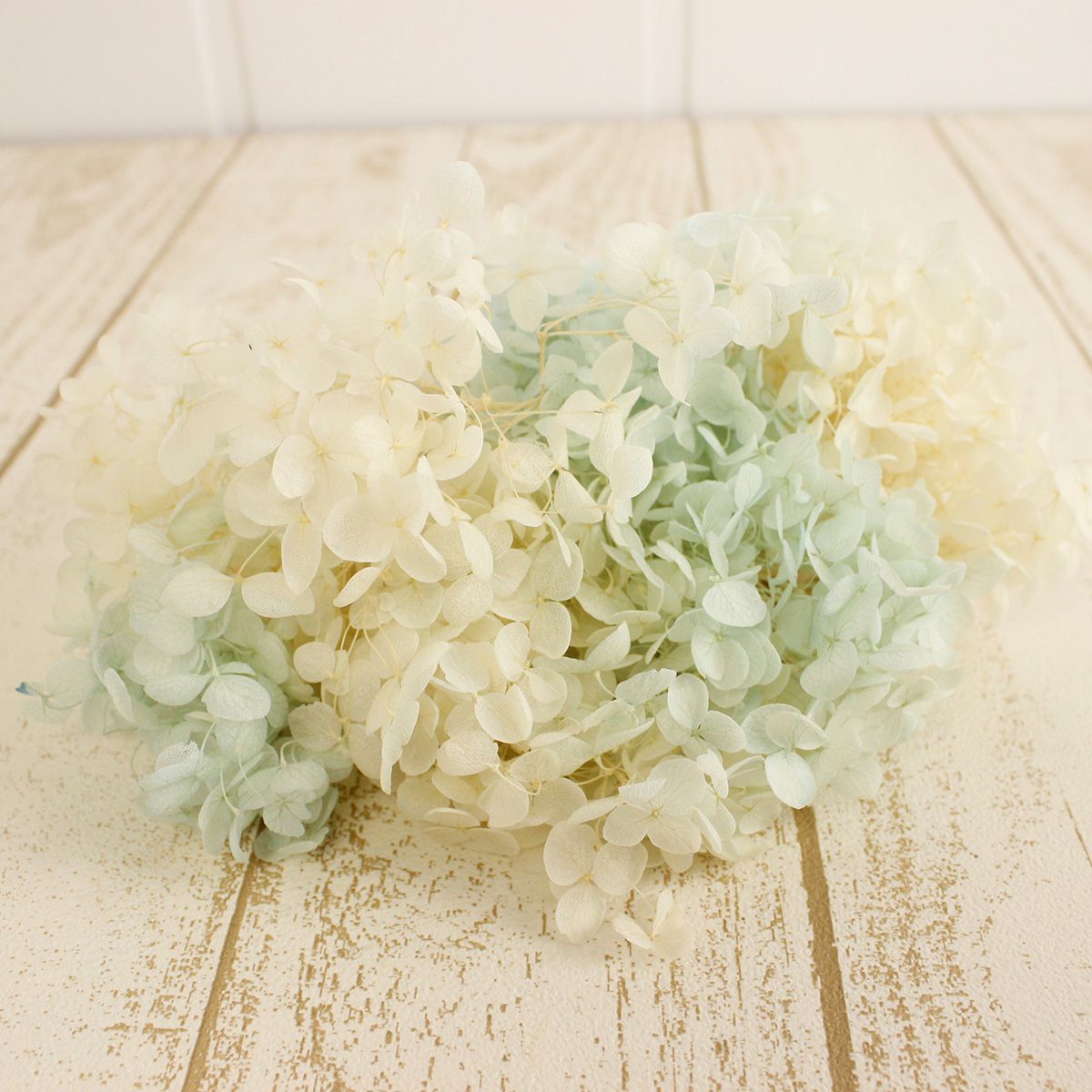 即日 プリザーブド 東北花材 ソフトあじさいアナベルパルフェ ソーダーフロート 約2 5輪 通販 はなどんやアソシエ 即日 プリザーブド 東北花材 ソフトあじさいアナベルパルフェ ソーダーフロート 約2 5輪 通販 はなどんやアソシエ