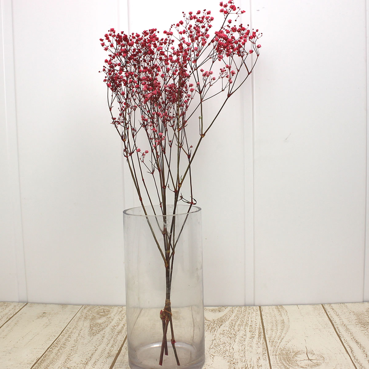 プリザーブド 東北花材 ソフトかすみ草 ピンク 約10g 通販 はなどんやアソシエ プリザーブド 東北花材 ソフトかすみ草 ピンク 約10g 通販 はなどんやアソシエ