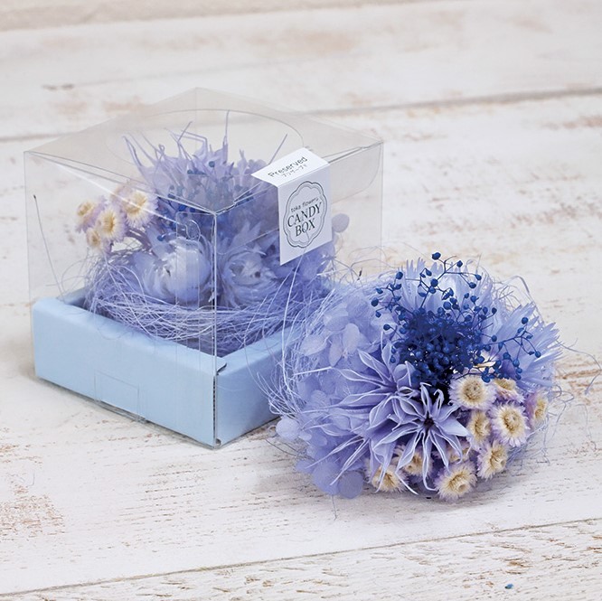 即日 東北花材 Fmフラワーアソートキャンディbox 6種アソート ラベンダー 通販 はなどんやアソシエ 即日 東北花材 Fmフラワーアソートキャンディbox 6種アソート ラベンダー 通販 はなどんやアソシエ